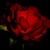 :iconaliceofknight:
