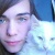 :iconaliceri: