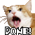 :iconalicethepirate09: