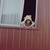 :iconalicexvalentine: