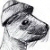 :iconAlien-mode: