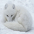 :iconAlienatedBuddha: