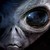 :iconaliennationstudios: