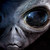 :iconalienslo: