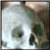 :iconaliensoul77: