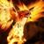 :iconalightphoenix: