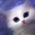 :iconalija638: