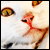 :iconalis-the-sadie: