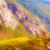 :iconalishakozlova: