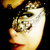 :iconalister09: