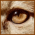 :iconalitreythe: