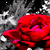 :iconalittle-closer-maybe: