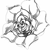 :iconaliusnovus:
