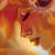 :iconalizarin-crimson: