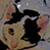 :iconalkaholly: