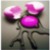 :iconalkamis12: