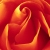 :iconAlkazi: