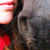 :iconall-for--you: