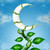 :iconallam-art: