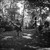 :iconallanbrunke: