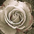 :iconallawesome: