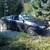 :iconallenandtady:
