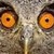:iconallergic-2-sek: