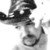 :iconalleycatprodesign: