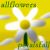 AllFlowersPetalsFall :iconallflowerspetalsfall: