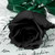 Alli2000 :iconalli2000: