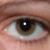 :iconalliansa: