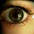 :iconallie16: