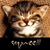 :iconallie2911: