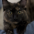 :iconalliekat684: