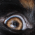 :iconalliemackie: