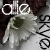:iconAllieSkye: