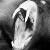 :iconalliieennss:
