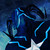 :iconallilli456: