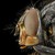 :iconallinone23: