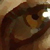 :iconAllIsFullOfLove16: