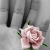 :iconAllisonCan: