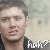 :iconallisonwalker2: