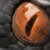 :iconallnamesistaken: