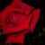 :iconallsensesfail90:
