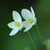 :iconallsignspointtoyou: