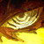 :iconallstar3061: