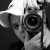 :iconalltheragephoto: