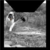 :iconally4246: