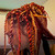 :iconallya-sathyras: