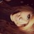 :iconallybre: